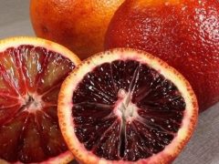 نهال پرتقال تو سرخ(خونی)آبسرد دماوند